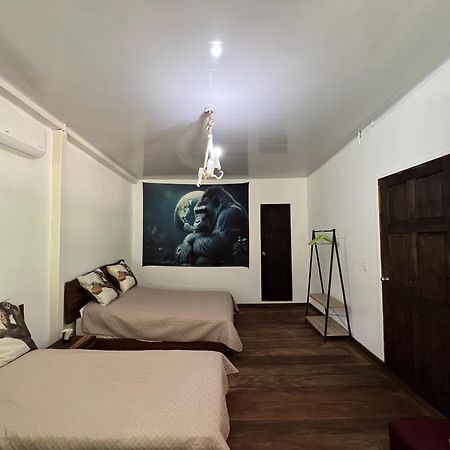 Monkey Lodge Panama Chilibre ภายนอก รูปภาพ