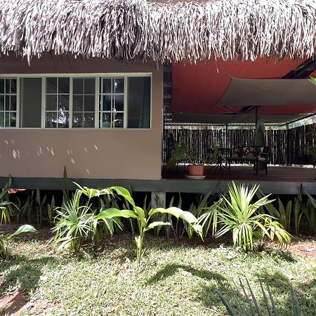 Monkey Lodge Panama Chilibre ภายนอก รูปภาพ