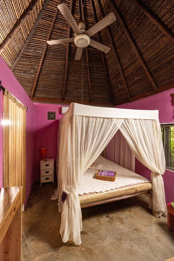 Monkey Lodge Panama Chilibre ภายนอก รูปภาพ