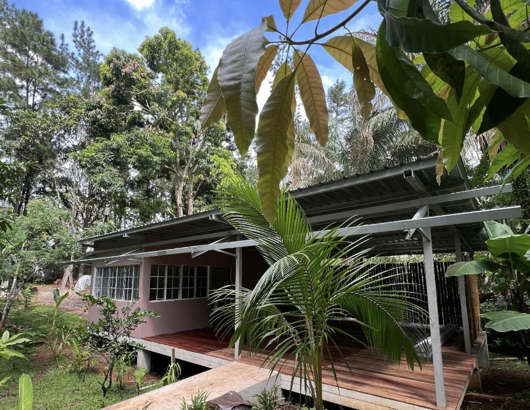 Monkey Lodge Panama Chilibre ภายนอก รูปภาพ