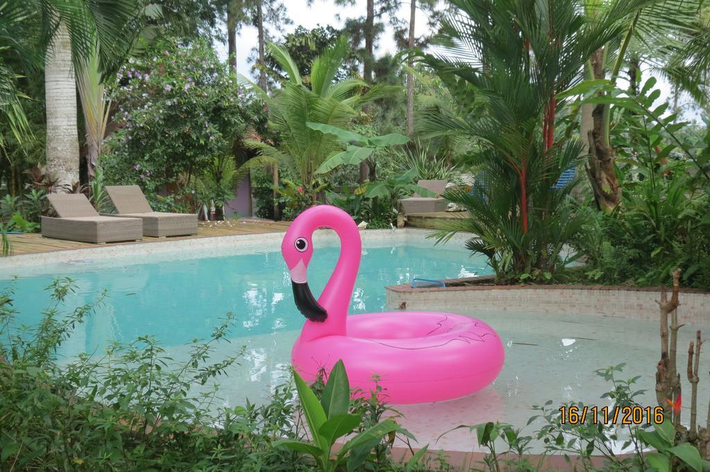 Monkey Lodge Panama Chilibre ภายนอก รูปภาพ