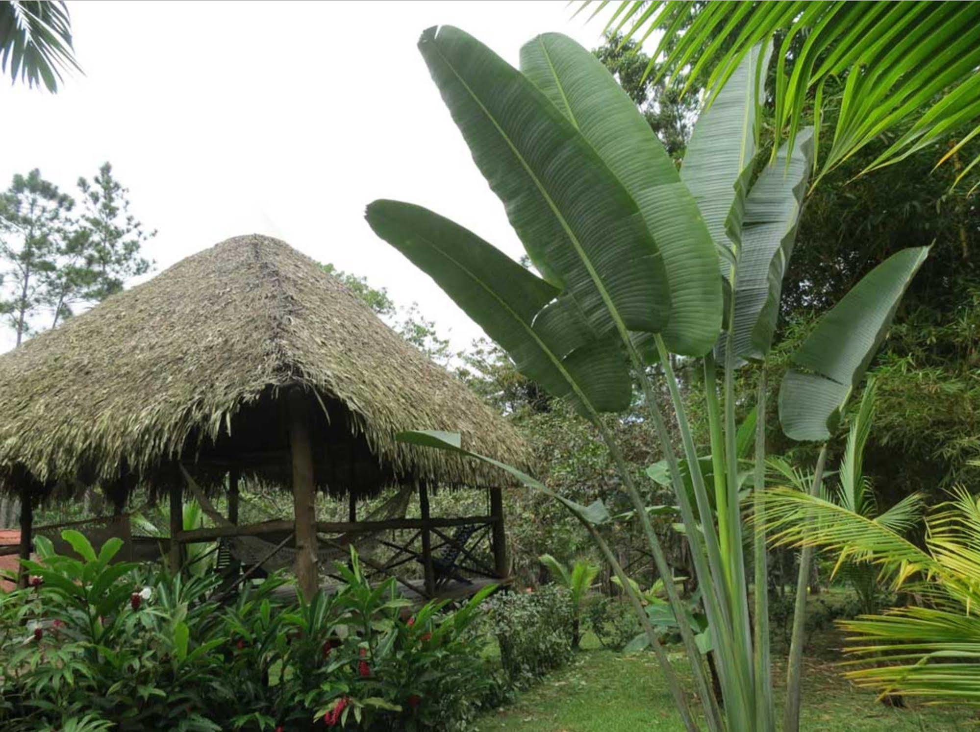 Monkey Lodge Panama Chilibre ภายนอก รูปภาพ