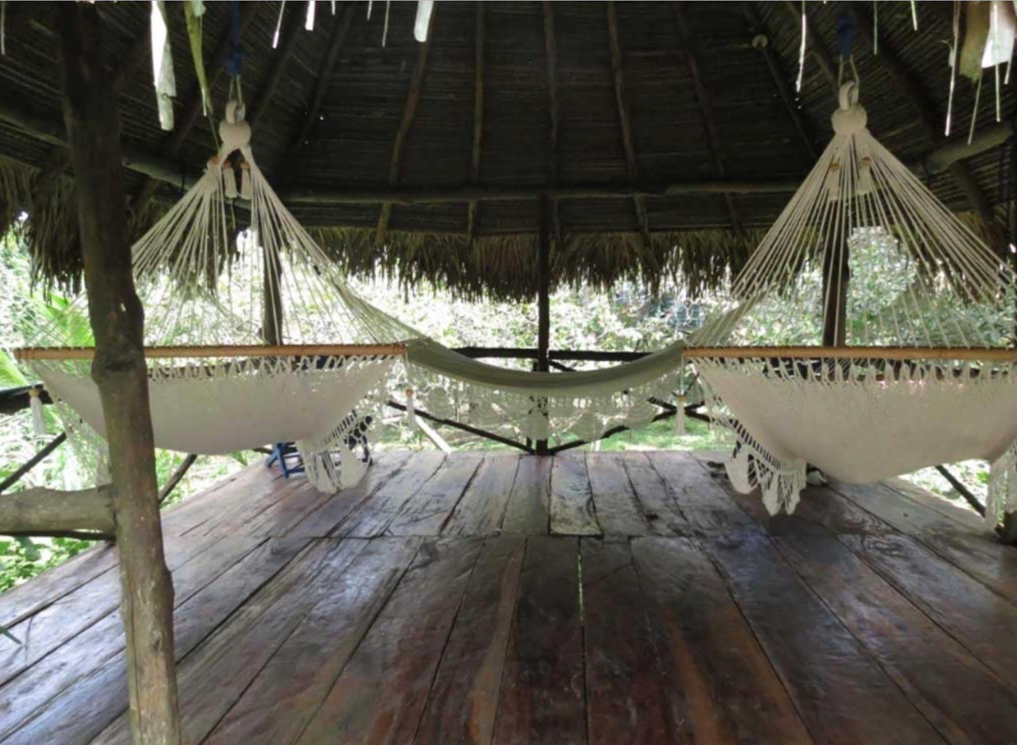 Monkey Lodge Panama Chilibre ภายนอก รูปภาพ